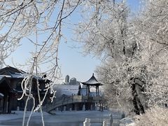 -雾凇岛