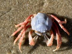 -北海金海湾红树林生态旅游区