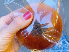 -小飞象面包公社(珠江路金鹰店)