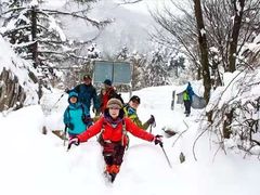 -秦岭风景区