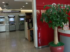 -招商银行(深圳罗湖支行)