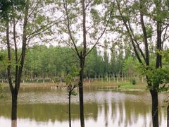 -东郊湿地公园