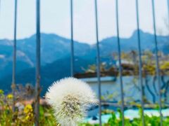-石岛赤山风景区