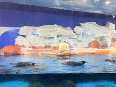 -海合安武汉极地海洋公园