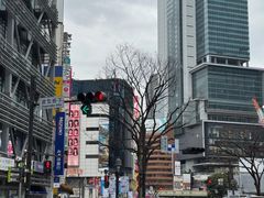-涩谷全向十字路口