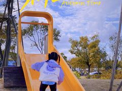 -春花秋色城市公园