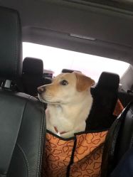 -JOKER TATTOO STUDIO乔克纹身