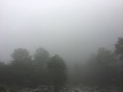 -青峰峡国家森林公园