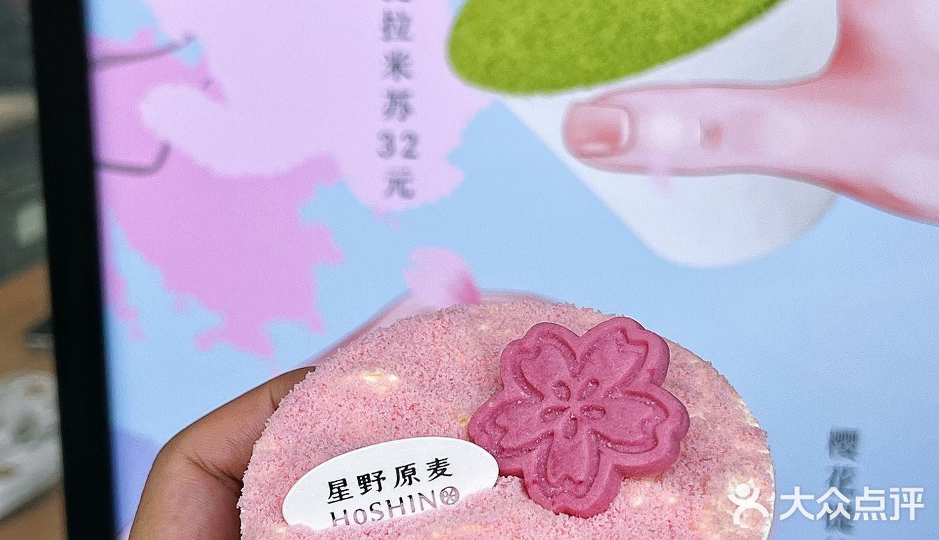 樱花提拉米苏🌸武汉的春日限定粉