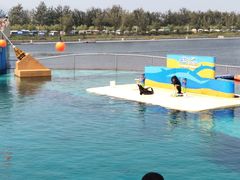 -秦皇岛乐岛海洋王国