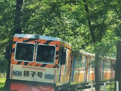 -秦皇岛野生动物园