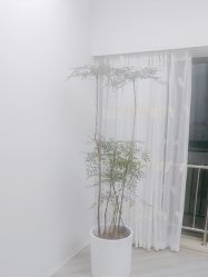 -HEYAN荷妍专业脱毛连锁机构