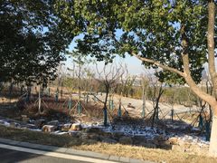 -南京市江宁方山