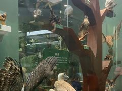 -国家自然博物馆