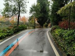 -两河城市森林公园