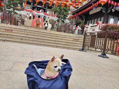 -莆田湄洲妈祖祖庙