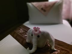 -泰馨玺·正宗泰式按摩SPA(石皮路店)
