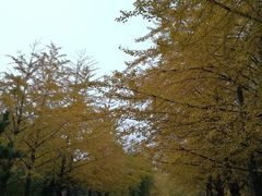 -辽宁大学(崇山校区)