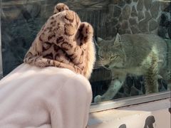 -青藏高原野生动物园