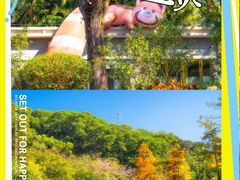 -云溪植物园