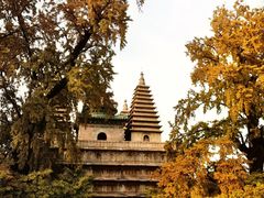 -北京石刻艺术博物馆(五塔寺)