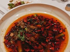-醉辉皇原味海鲜江南菜(成都大魔方店)