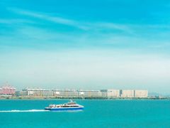 -大湾区中央湿地公园