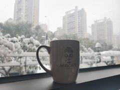 -Africafe(非洲咖啡)