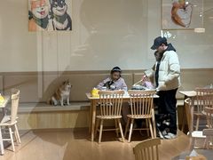 -柴の食堂·日式家庭料理·熊之肆(大学路店)