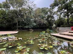 -九龙公园