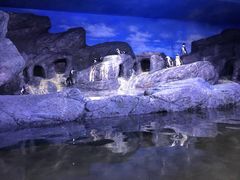 -暹罗海洋世界
