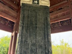 -观潮胜地公园