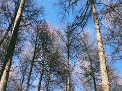 -硗碛藏寨·神木垒景区