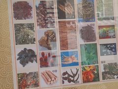 -广州神农草堂中医药博物馆