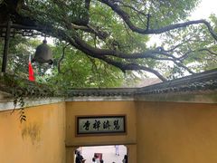 -普陀山慧济禅寺