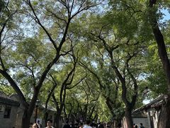 -北京国子监胡同