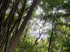 -广州市白云山风景名胜区