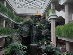 -白天鹅宾馆-宏图府餐厅