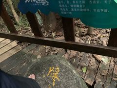 -七仙岭温泉国家森林公园