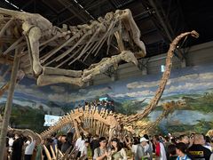 -自贡恐龙博物馆