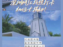 -杨梅坑