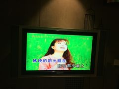 孟庭苇-你那好冷的小手-环球梦主题KTV(曲阳生活购物中心店)
