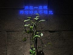 -秘地·影院式足浴SPA(凤三旗舰店)