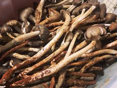 火锅野生菌-双喜农庄·菌香园(安居家园店)