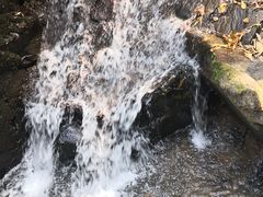 -藏龙百瀑风景区
