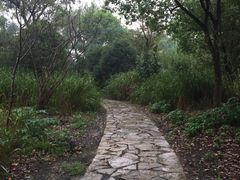 -梁鸿国家湿地公园