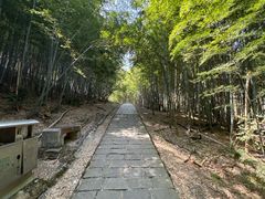 -北仑森林植物园