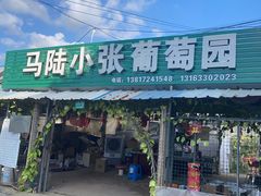 -马陆小张葡萄园农家乐