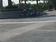 -宝安西湾红树林湿地公园