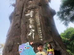-青青世界